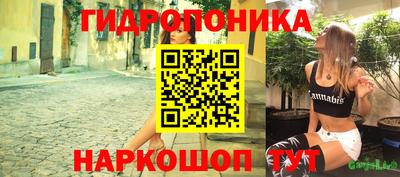 стаф Заволжье